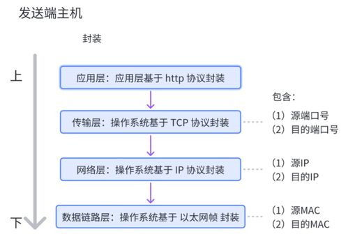 網絡通信基石 核心設備、關鍵技術及技術服務全景解析
